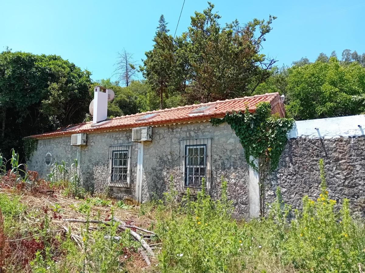 Retiro D'Azenha Villa Almoster Eksteriør billede